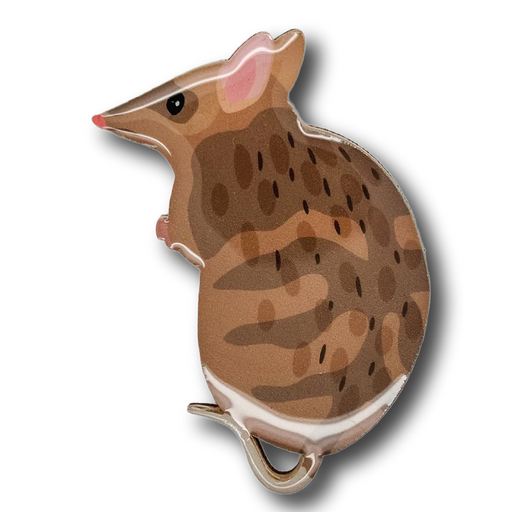 Brooch Eastern Barred Bandicoot