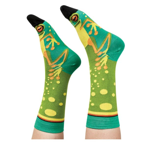 Socks Frog