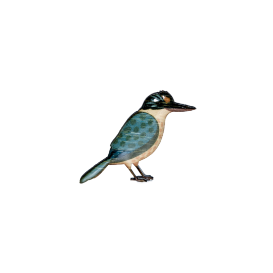 Brooch Kingfisher