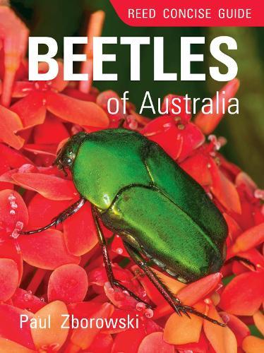 Book Reed Concise Guide to Beetles of Australia (Paperback)