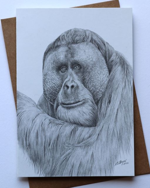 Greeting Card Orangutan Male