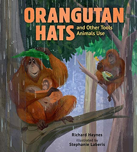 Book Orangutan Hats And Other Tools (Hardcover)