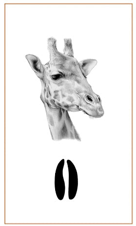 Earrings Giraffe Sterling Silver